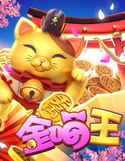 金喵王